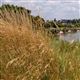 Watercourse Buffer Strip/Cultivated Land (CAHL4)